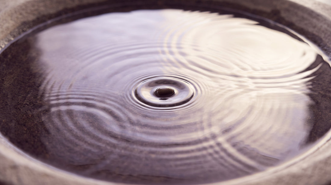Calm water with one single ripple beside an area of many overlapping ripples